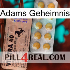 Adams Secret 41